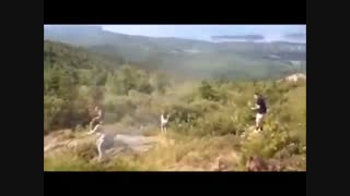 کلیپ های جالب : یک مجموعه ویدیوی متنوع پر از اتفاقات خنده دار و دیدنی- جدید