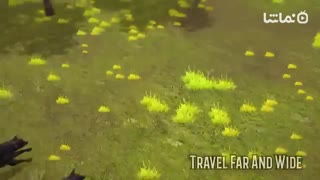 Wolves of the Forest