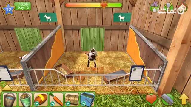 Petworld – My Animal Rescue