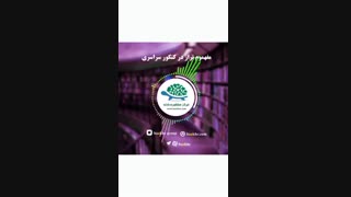 تراز دانشگاه