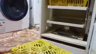 دستگاه جوجه  کشی 126 تایی