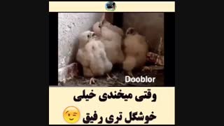 خیلی خنده دارXD