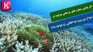 اگر تمامی صخره های مرجانی موجود در دنیا از بین برود چه اتفاقی رخ خواهد داد؟