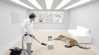 بهترین برندهای جارو برقی با قیمت مناسب در فروشگاه انترنتی مولتی کالا