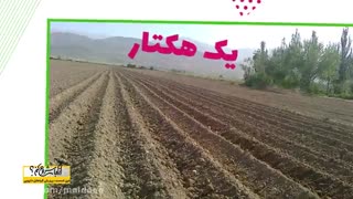 از کجا شروع کنم...پرورش گیاهان دارویی