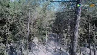 سریال چینى The Untamed قسمت بیست و پنجم