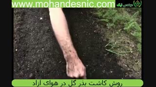 آموزش تصویری کاشت بذر گل در منزل