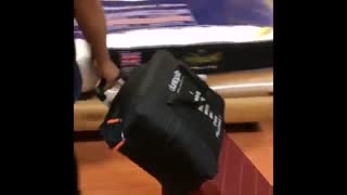 بالش دانلوپیلو