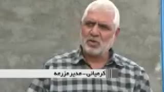 پرورش شتر مرغ در قم - نمایشگاه درستاوردهای روستائیان