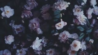 هیچکس دوسم نداره مخصوصا تو...!!!