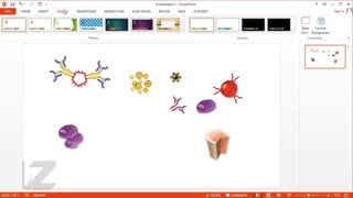 آموزش طراحی تصاویر زیست - پزشکی به شیوه زی نما