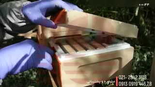 آموزش زنبورداری - روش میلر