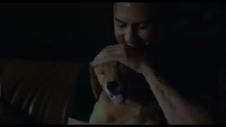 The Art of Racing in the Rain 2019