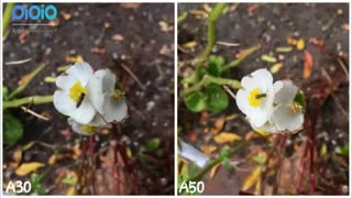 مقایسه دوربین گوشی سامسونگ  A30 با سامسونگ A50