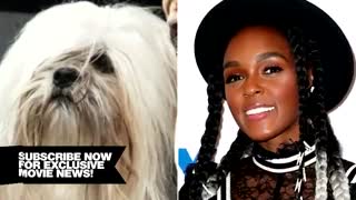 Lady & The Tramp: Meet The Dogs (2019)