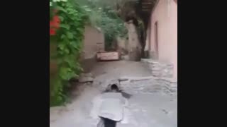 دلا نزد کسی بنشین که او از دل خبر دارد - شعر مولانا با خوانش باران نیکراه