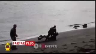 سلاخی میلیون‌ها نهنگ در اروپا