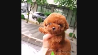 ت مهممممم....