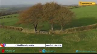 پارک ملی دارت مور در انگلستان مکانی جذاب برای پیاده روی - بوکینگ پرشیا bookingpersia