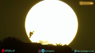 میکس شاد بهترین آهنگ قرن 21، دسپاسیتو جاستین بیبر، ددی یانکی، لوییس فانسی با بهشت روی زمین هاوایی