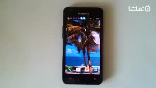 Beach Trees Live Wallpaper