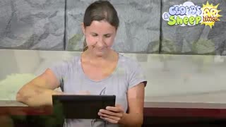 Clouds & Sheep - AR Effects