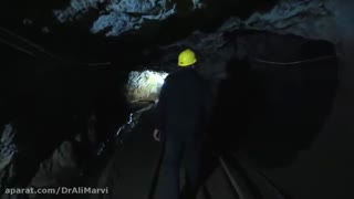 تو ماهی و من ماهی این برکه کاشی