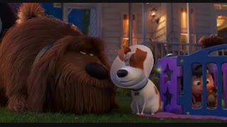 دانلود انیمیشن کمدی ماجراجویی زندگی مخفی حیوانات  قسمت دوم The Secret Life of Pets 2 2019 - با زیرنویس چسبیده