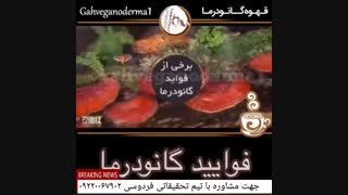 فوایید گانودرما درمان بیماریها کلینیک پوست