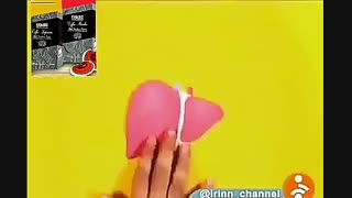 کبد چرب درمان شد