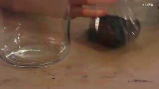 ساخت تراریوم - ساخت تراریوم آویز