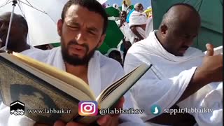 آیتم برنامه روضه رضوان 10- عاشقان