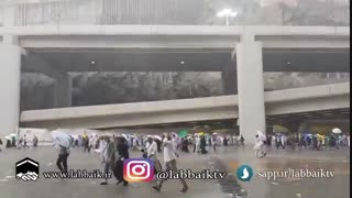 آیتم برنامه روضه رضوان10- باران نیلوفر