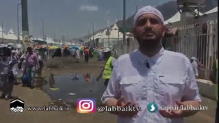 آیتم برنامه روضه رضوان 10-کبوتران پرشکسته