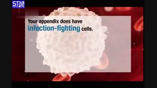 نقش آپاندیس در بدن