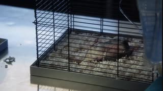 سریال Forever 2014 فصل 1 قسمت 5 زیرنویس فارسی