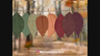 دکلمه پیرمو گاهی دلم یاد جوانی میکند استاد شهریار