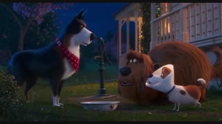 انیمیشن زندگی مخفی حیوانات خانگی ۲ The Secret Life of Pets 2 2019