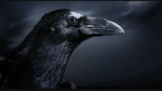 امروز پرده آز راز بر خواهم داشت...
