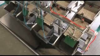 خط تولید حبوبات
