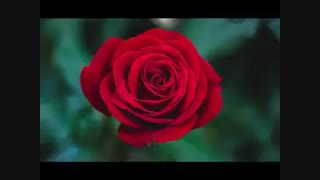 به دنبآل من آگر می آیید...