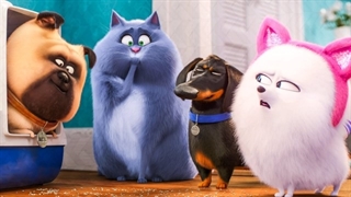 دانلود انیمیشن The Secret Life of Pets 2 محصول ۲۰۱۹ با زیرنویس فارسی