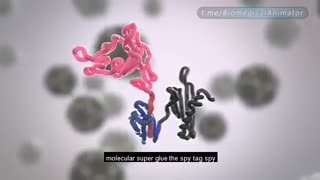 شیوه جدید در ساخت واکسن با استفاده از ابرچسب