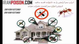 فروش سم ساس کش بسیار قوی