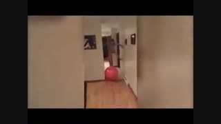 جالبترین - ویدیو : کلیپ های جالب : بهترین صحنه های خنده دار که تا حالا دیدید