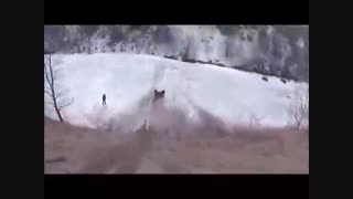 جالبترین - ویدیو : ویدیو های جالب - صحنه های خنده دار وطنز