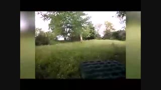 جالبترین - ویدئو : دانلود کلیپ - جالب ترین و خنده دارترین ها- جدید