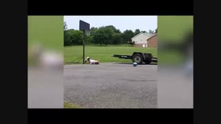 جالبترین - ویدیو های جالب - خنده دار ترین کلیپ دنیا- جدید