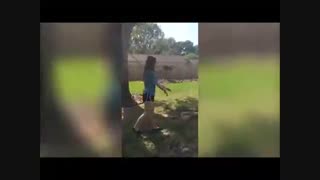 جالبترین - فقط برای خنده : ویدیو های جالب - خنده دار ترین کلیپ دنیا