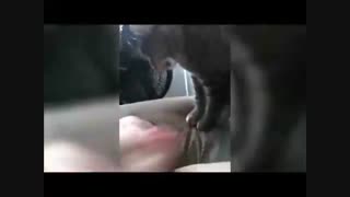 جالبترین - فقط برای خنده : کلیپ خنده دار- جدید